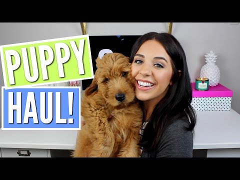 PUPPY HAUL! MY GOLDENDOODLE PUPPY! |TJMAXX, PETSMART, PETCO| Video