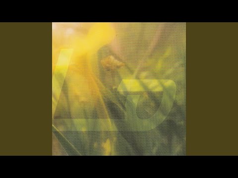 La Cuajada - Vinilo