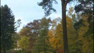 In Love with Lithuania  (5)