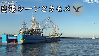 銚子漁港 大型漁船の出港とカモメの群れ｜Departure of a large fishing vessel and a flock of seagulls