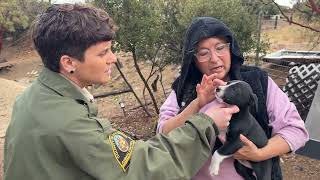 A Day in the Life of an Animal Services Officer