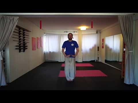 Lungenform Daoyin Yangsheng Gong Qi Gong