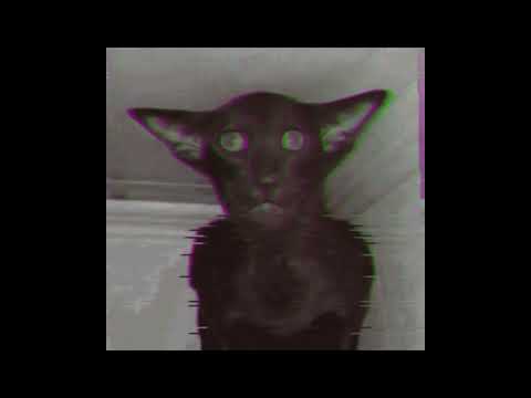 TRY NOT TO GET SCARED INSANE MODE😡😡😳😳😳🤑🤑 #shorts  #scary