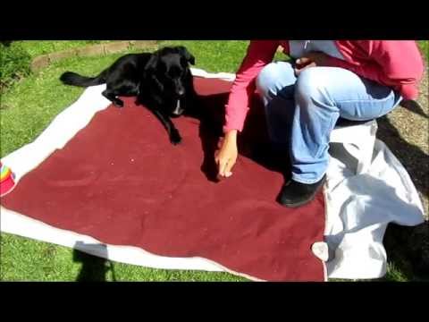Splash — Nose off the ground Game