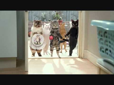 Cravendale Advert - Cats With Thumbs (2011)