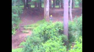 Disc Golf Ace - Marcus Jones