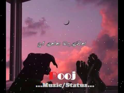 Kiri kodu mal heene(කිරි කොඩු මල් හීනෙ) song lyrics #sinhalasongs #whatsappstatus #lirycvideo