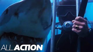 Hooper Trapped In A Cage | Jaws (1975) | All Action