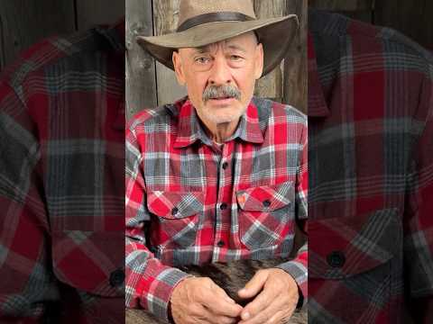 Frontier .223 Ammo Review - 1/2 Price Ammo Better Than Premium Match Grade?