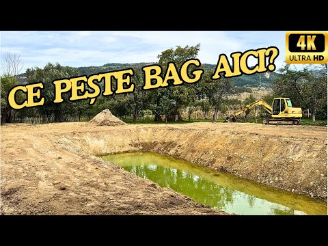 Mi-am făcut BALTĂ de PEȘTE acasă |4K|.