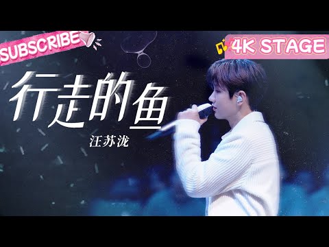 [4K]It's just a dream, growing up. Why aren't you happy😿?#silencewang #music