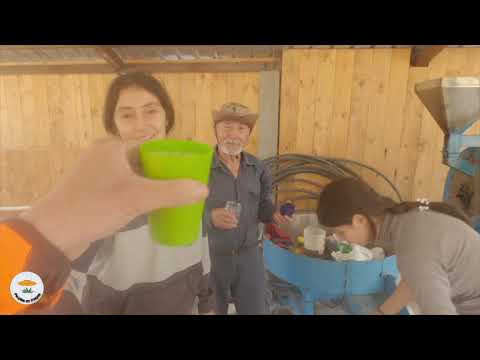 Fabrication de L'alcool de canne à sucre a Oña, Azuay, Equateur 2023