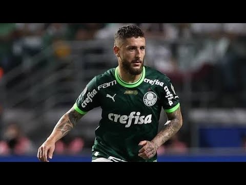TODOS OS 25 GOLS DE ZÉ RAFAEL PELO PALMEIRAS