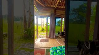 Download lagu Penginapan Le Pandai | Pamijahan Bogor #lepandai #hiddengembogor mp3