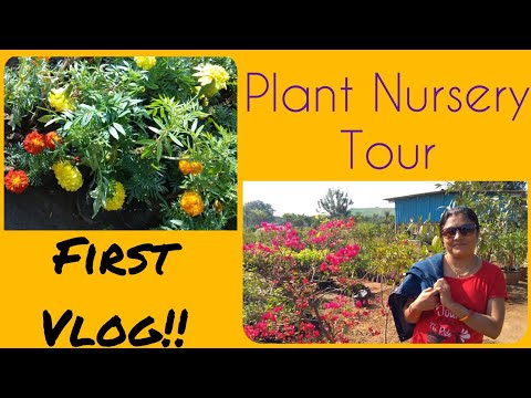Garden Nursery Tour | First Vlog | Dharmistha Ma'am