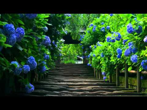 Hoxhë Usame Morina - "5 pyetjet që do të pyetet biri i Ademit në Ditën e Kiametit." (Hutbe)