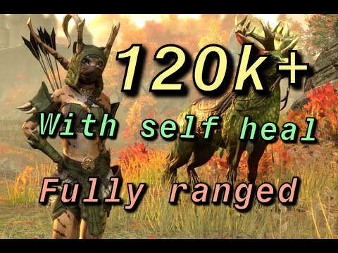 ESO Stamina Warden DPS Build for all PvE Bow/Bow (Description for U45 changes