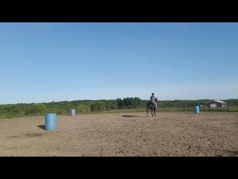 Star - 06/02/2016 - 2