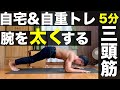 【5分】自宅で腕を太くする!上腕三頭筋の自重筋トレ(器具なし)