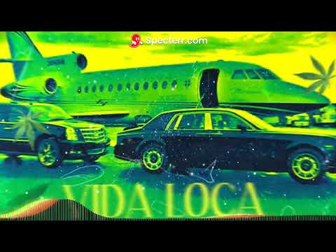 Pimp Schwab - La Vida Loca