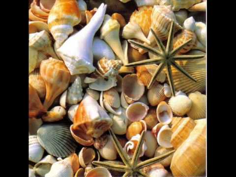 AbF´s Merve feat Sandy