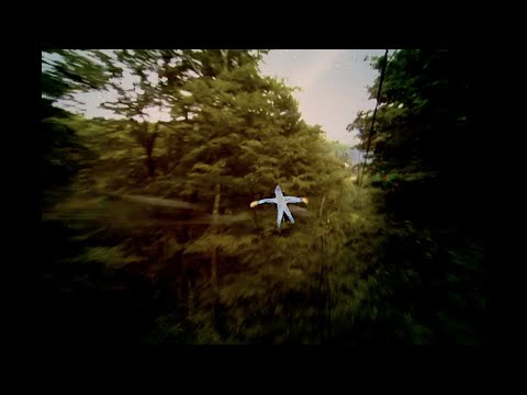 Disq - The Hardest Part [Official Video, Flash Warning]