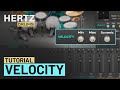 Video 4: Velocity