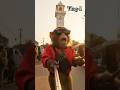 Monkey Mama Vlogging Ai Viral Monkey Trending Instagram Reels Shorts Ytshorts Gemini Dj