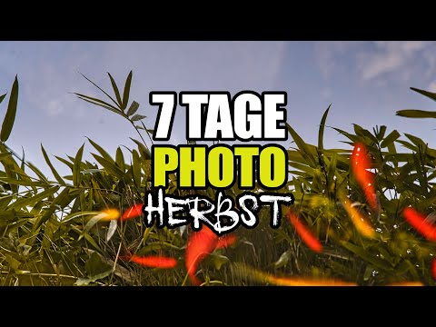 Ein bisschen Reflektion - #7TagePhotoHerbst20 (Teil 4 / 7)