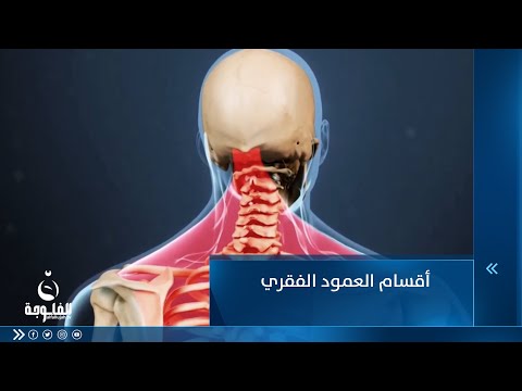 شاهد بالفيديو.. اقسام  العمود الفقري