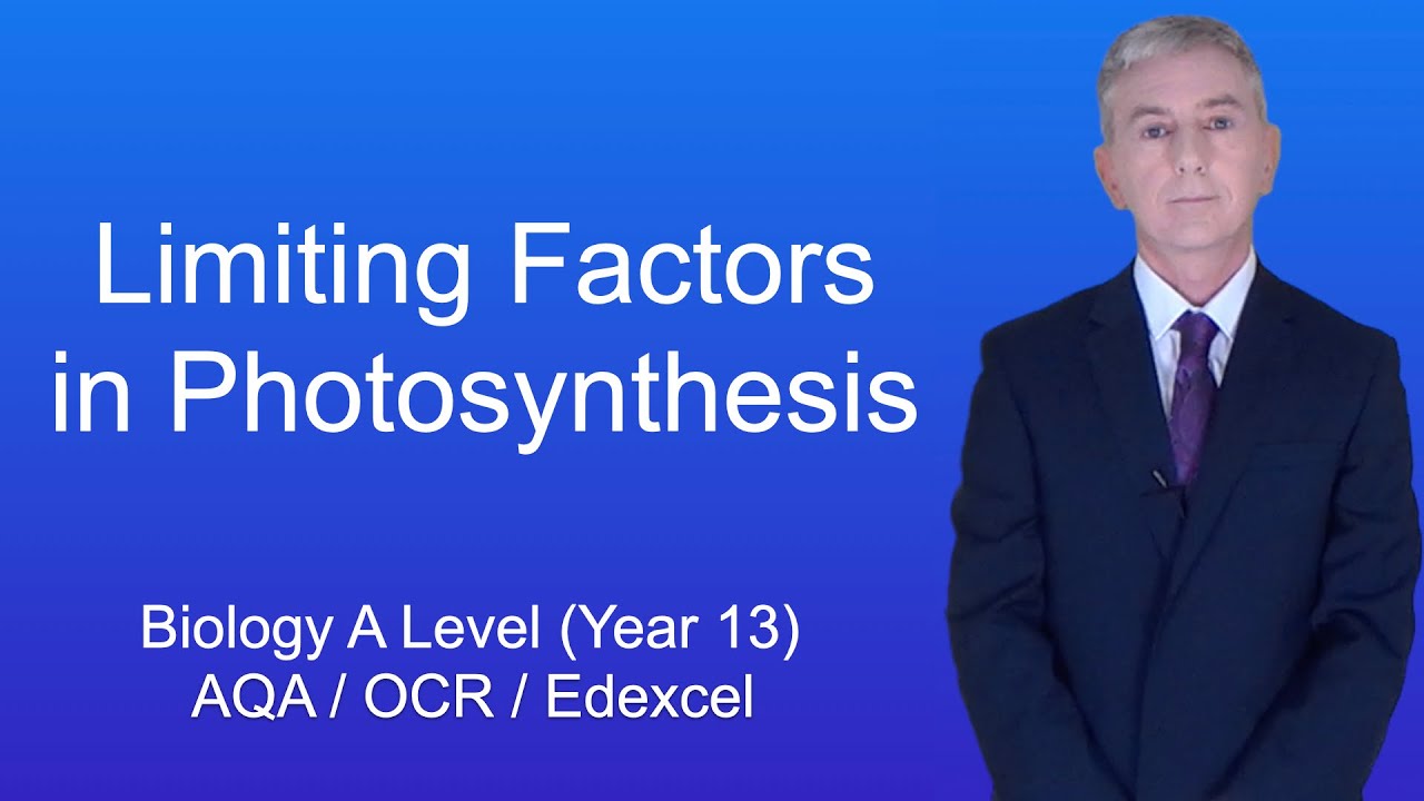 A Level Biology Revision (Year 13) "Limiting Factors in Photosynthesis"
