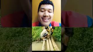 Download lagu BERAK BERAK SANTAI #shots mp3