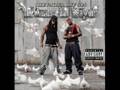 Birdman & Lil Wayne - Army Guns