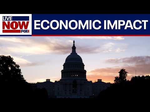 Video | How does a government shutdown affect the economy?