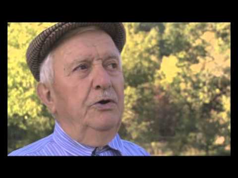 Los trabalhs collectius