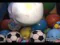 Balls Of Fun Inc 905 828 4386