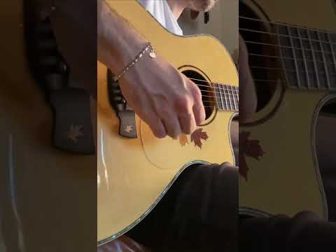 Immagine Crafter AL-Rose Plus 45th Anniversary "Autumn Leaves" – Made in Korea 2018 with Hard Case - 26