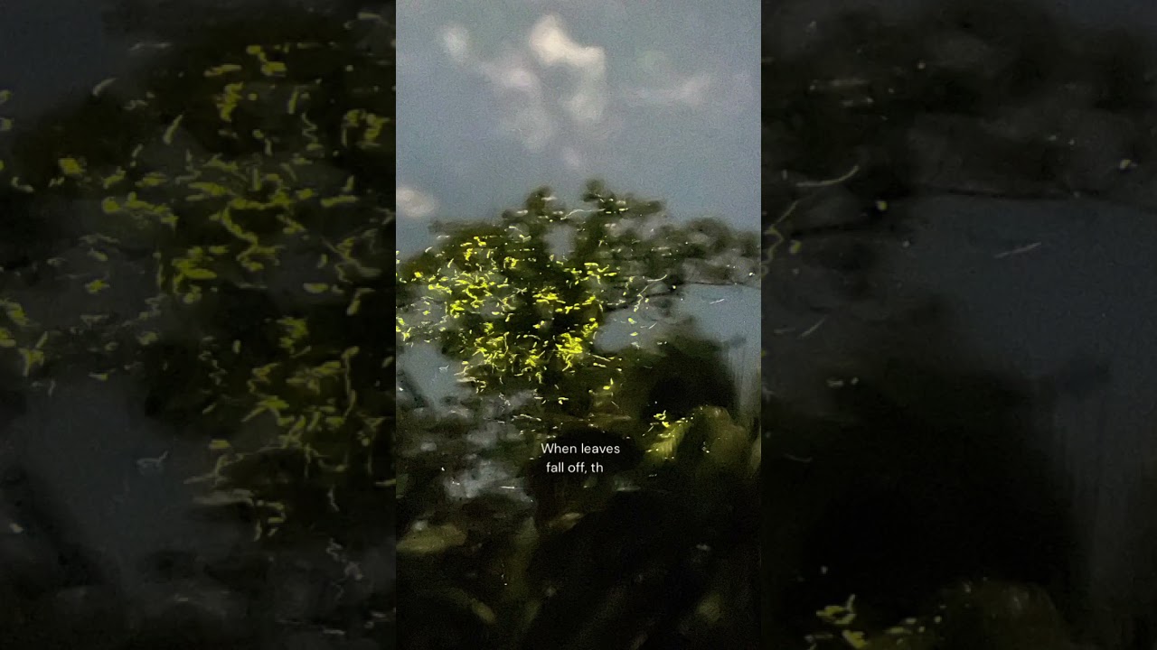 YouTube Short thumbnail