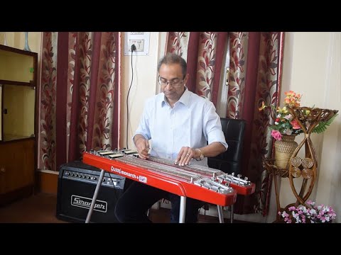 Woh Shaam Kuch Ajeeb Thi | Hawaiian Guitar by Radhendu Das