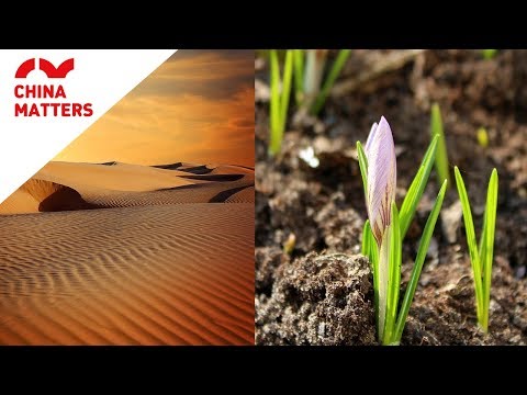 This magic potion turns sand to soil