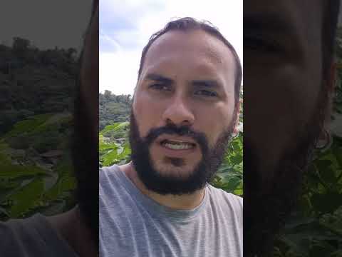 ELN vs Clan del Golfo: Así es la PELIGROSA Disputa por el Corazón del CHOCÓ ‖ ESPECIAL CHOCÓ (2/4)