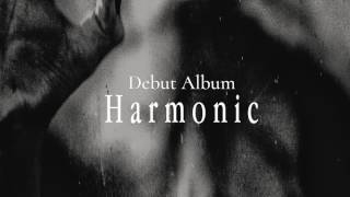 Behind the Shadow Drops (Japan) - Positive Shadow, Negative Light (Official Streaming Video)