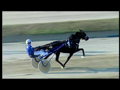 Napoli Trotto 23/07/2021 - 2ª prova di qualifica