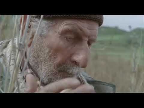 네 번 The Four Times | 미켈란젤로 프라마르티노 Michelangelo FRAMMARTINO | The 26th JEONJU IFF OFFICIAL TRAILER 예고편