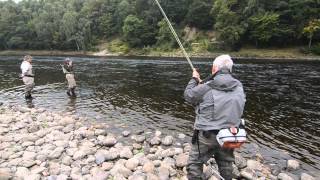 Ian Shaw playing a 12lb salmon on Newtyle Beat River Tay