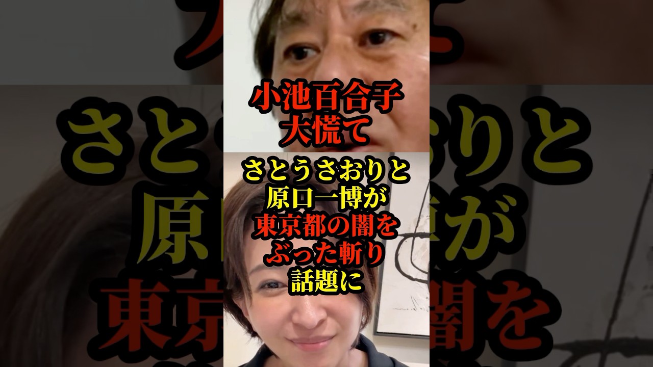 さとうさおりと原口一博がヤバすぎる東京都の闇をぶった斬り話題に#政治 #自民党 #国会 #立憲民主党