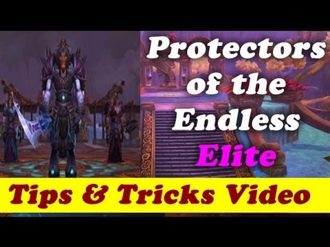 Protectors of the Endless Elite 10m normal - guide - tips and tricks Tank PoV with Narration
