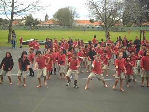 Pohutukawa Whanau - flash mob haka