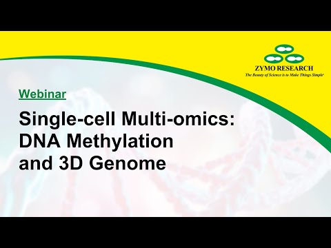 Single-cell Multi-omics: DNA Methylation and 3D genome
