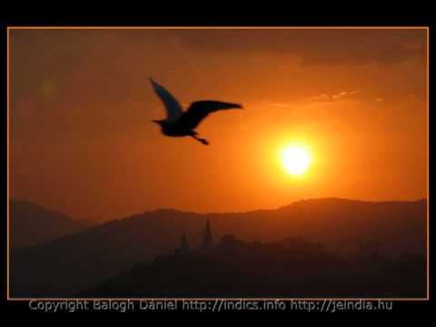 Balkan Fanatik feat. Geszti Péter - Repülj Madár